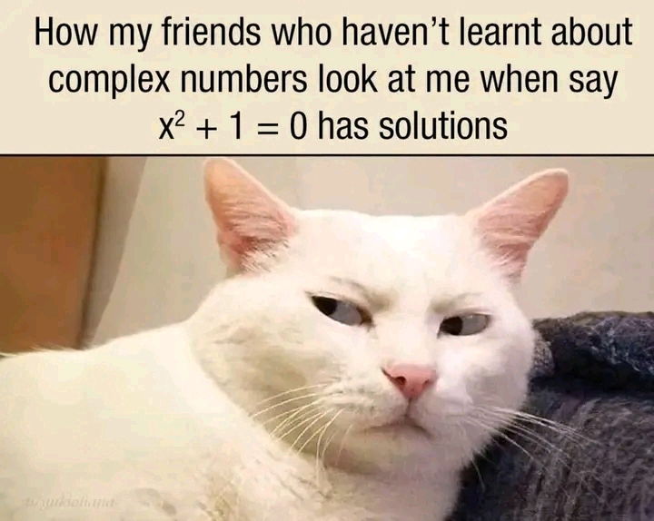 Math problems, yet the humor is giving.
