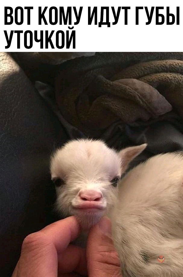 😂