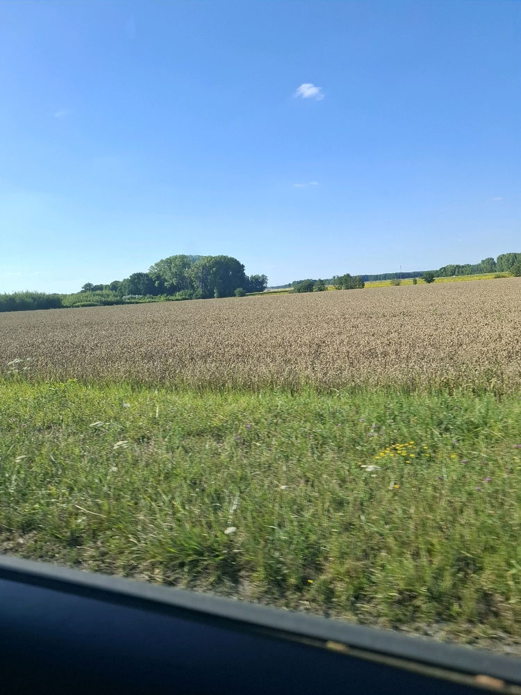 Aller hop, après avoir fait 18 000 pas, on rentre à la maison en Moselle 😊