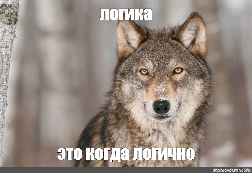 Мне сломали мозг...