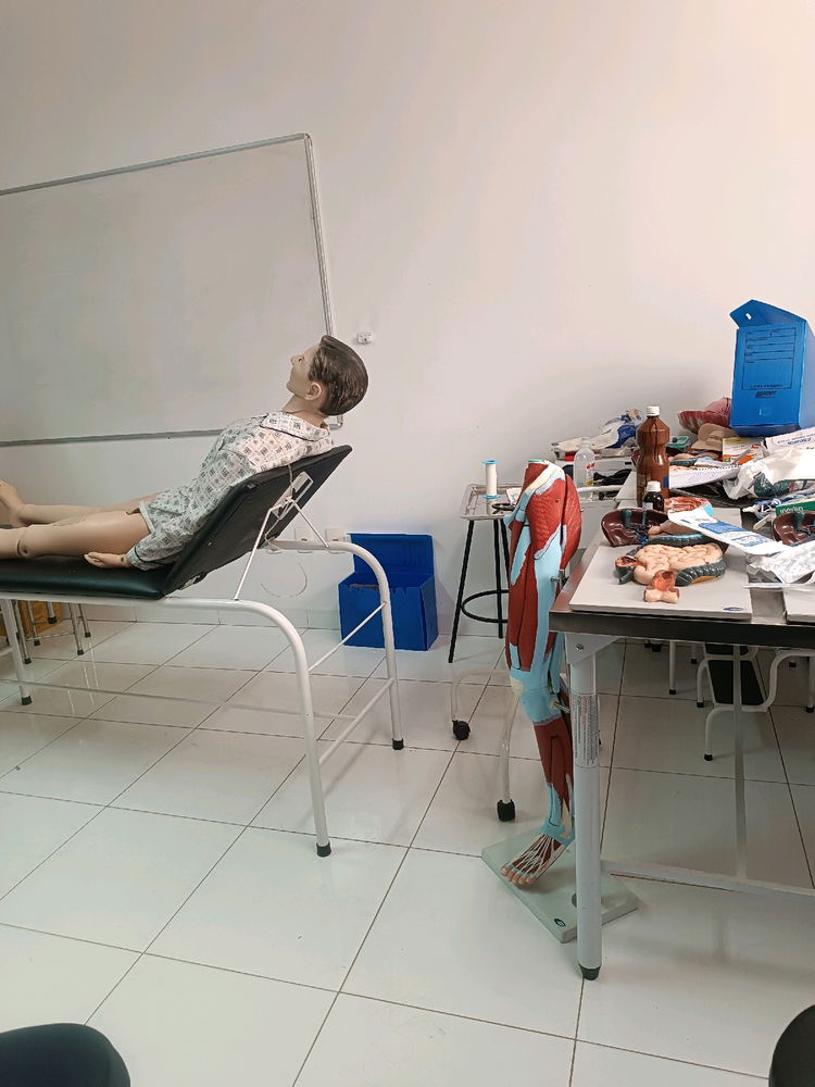 Estudando