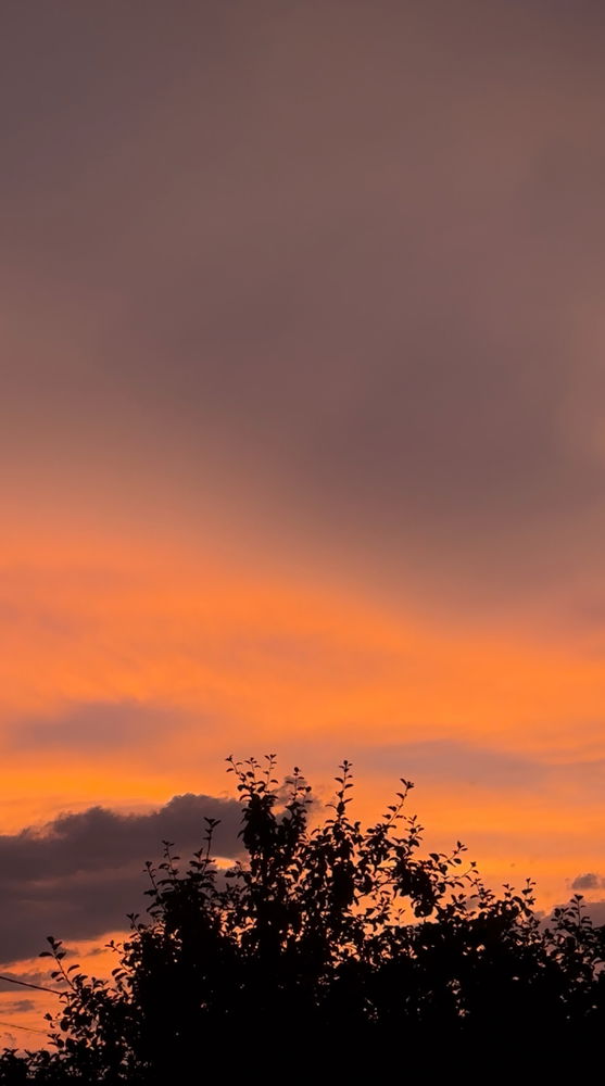 I suppose looking at the sky has become my new hobby. .