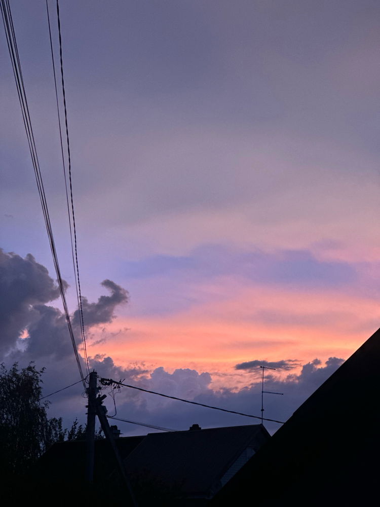 I suppose looking at the sky has become my new hobby. .