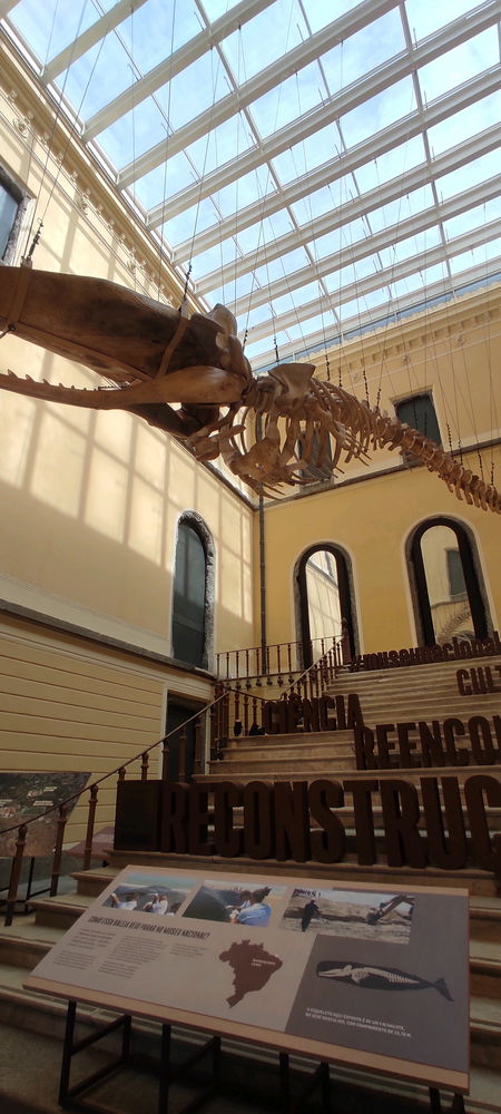 Museu nacional / exposição entre gigantes