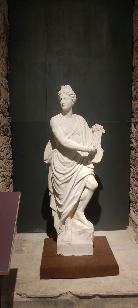 Museu nacional / exposição entre gigantes