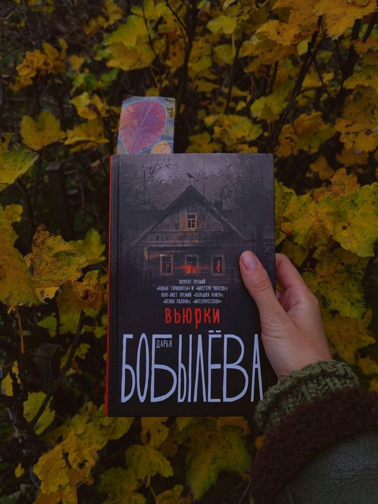 "Вьюрки" Дарьи Бобылёвой