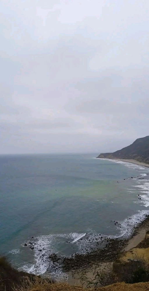 I love this place