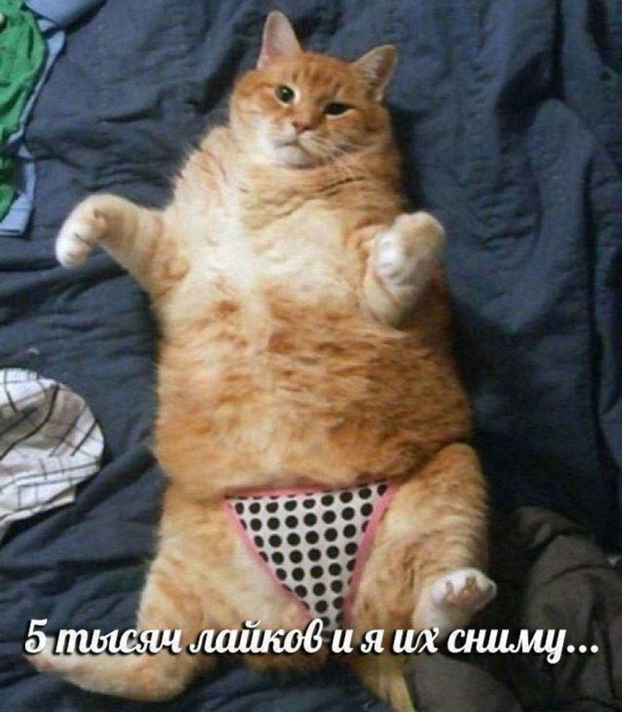 Интересно сработает ?)))