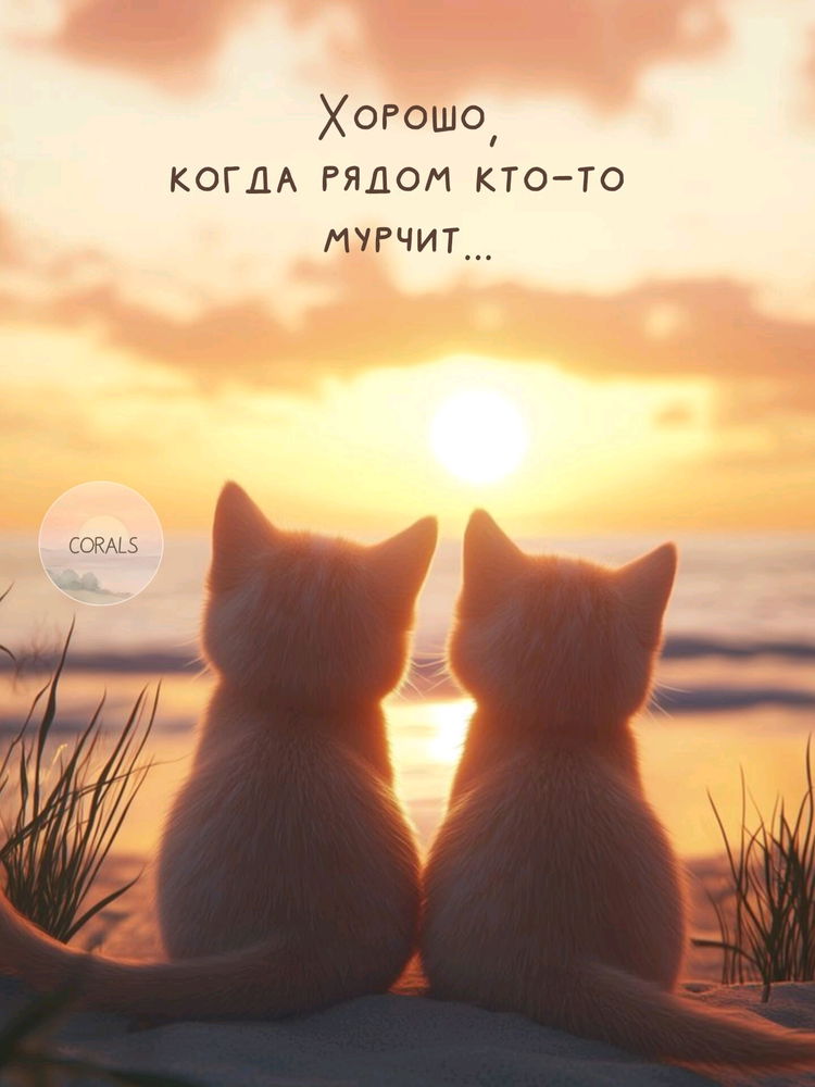 Замурчательно 😍