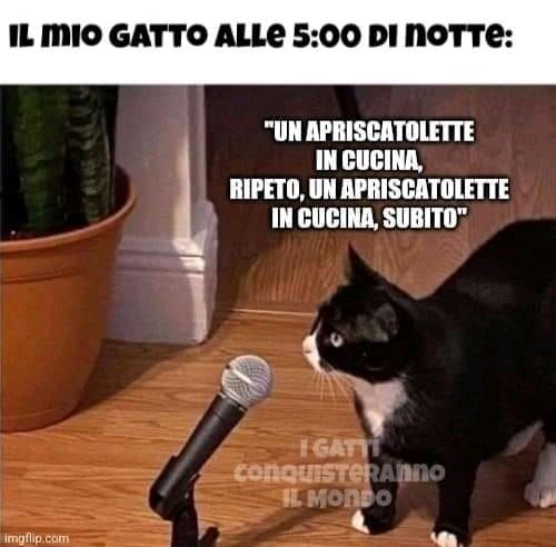 🤣