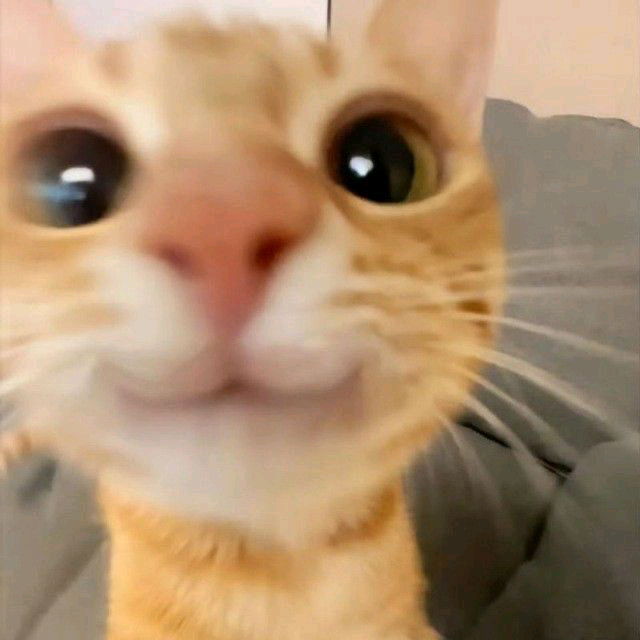 Wasup