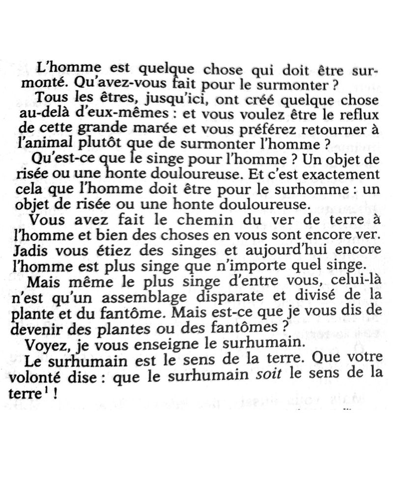 Lecture du moment 📖