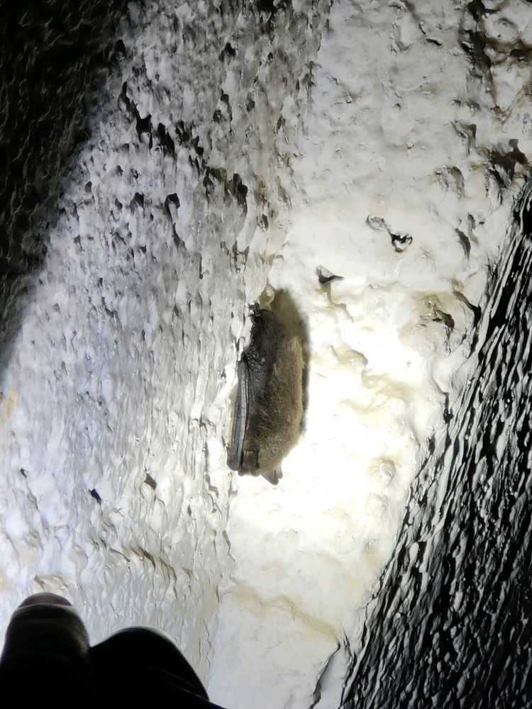 World War 2 Bunkers / Underground Storage