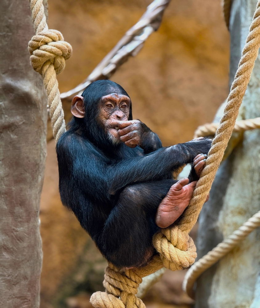 Rodinný výlet do ZOO zakončuji momentkou.