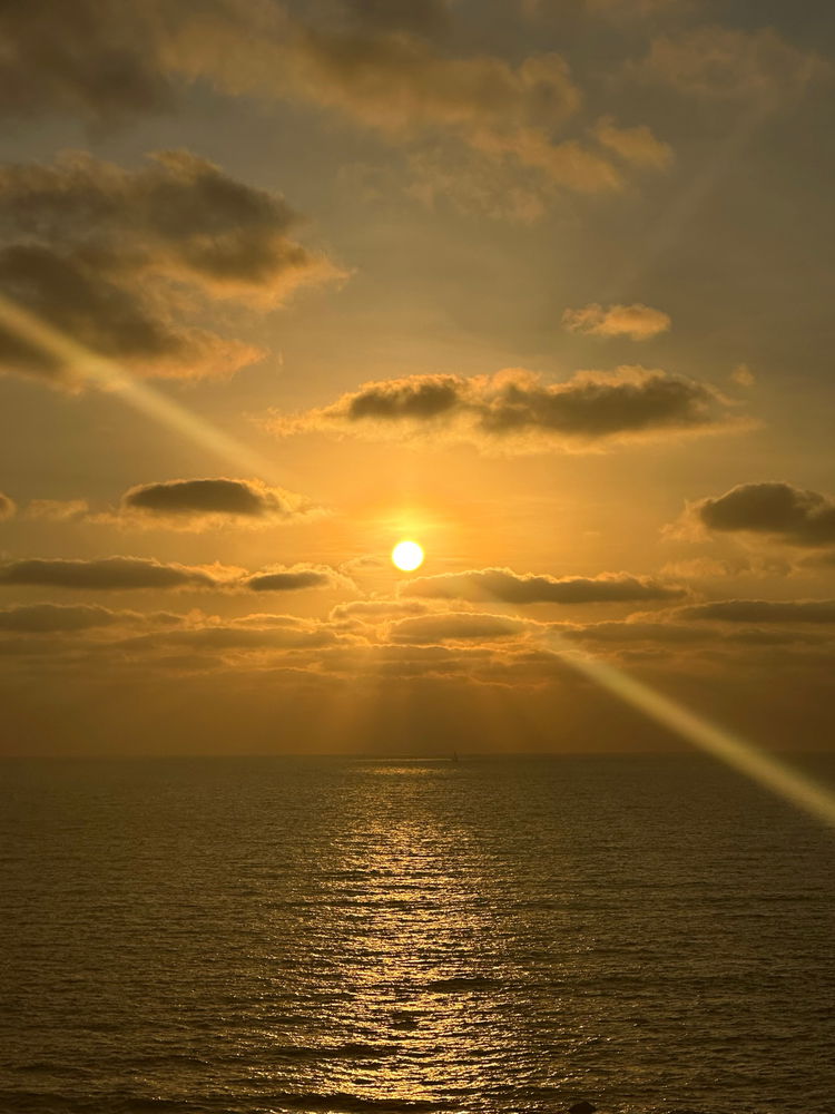 🌅