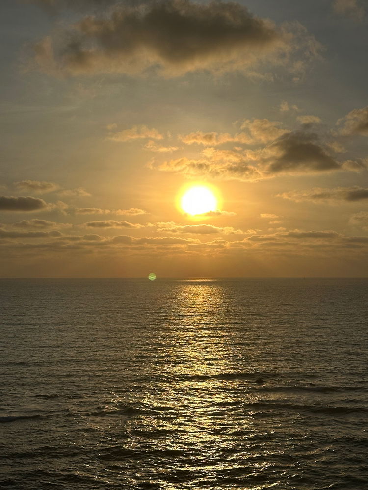 🌅