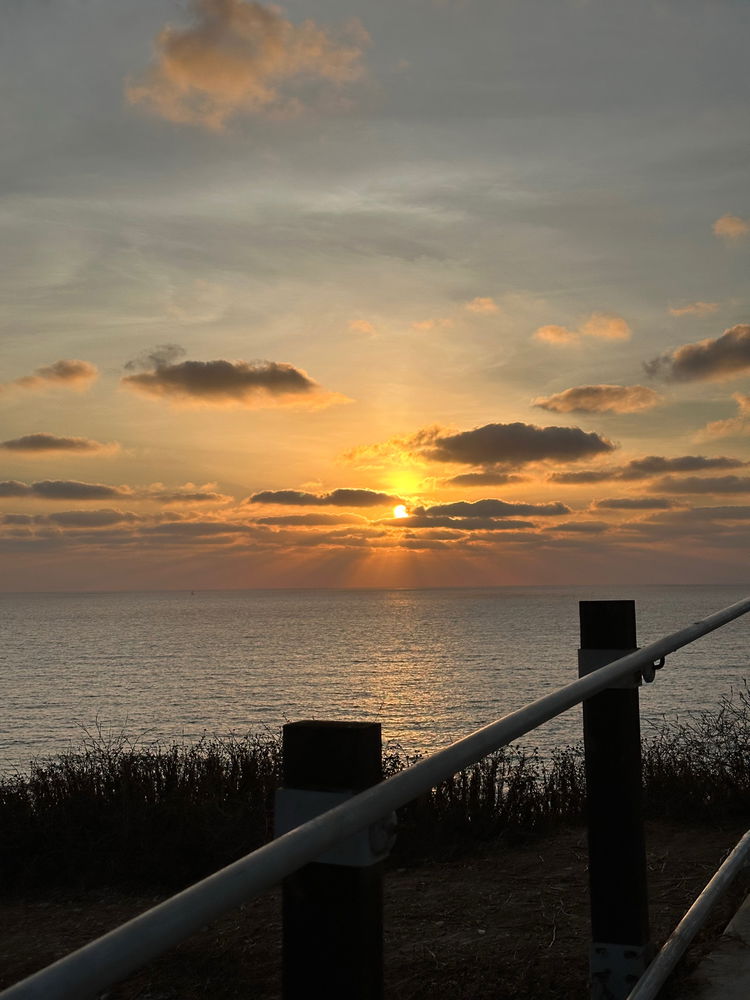 🌅