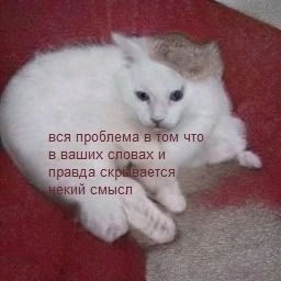 Не всегда и не всем понятный 😁