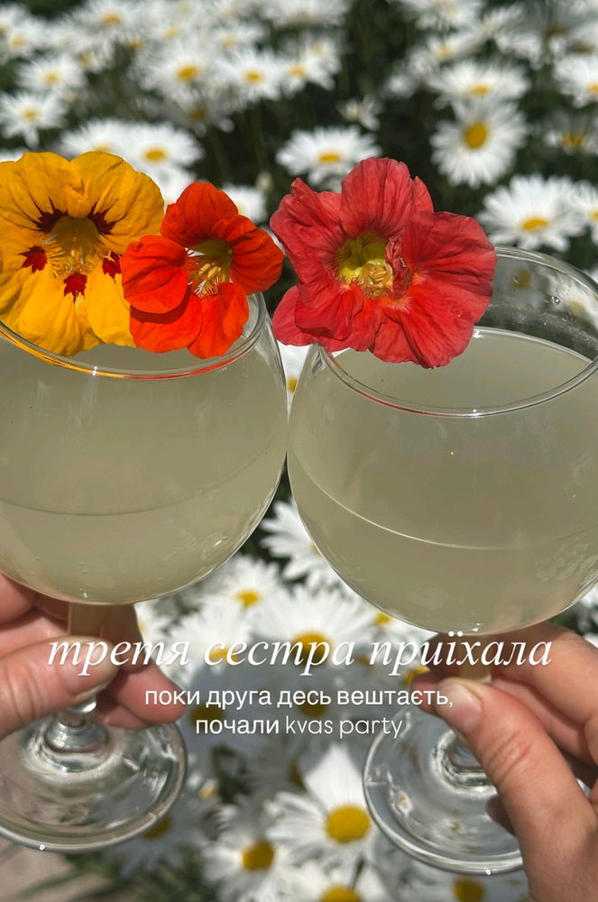 Сосновий квас і настурції