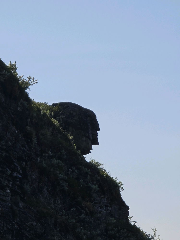 4 hour hike – Norwegian mountain