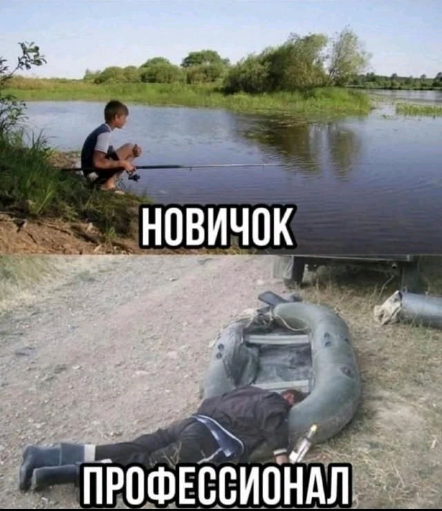 🤣🤣🤣🤣