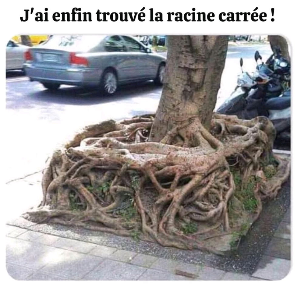 Trouvaille