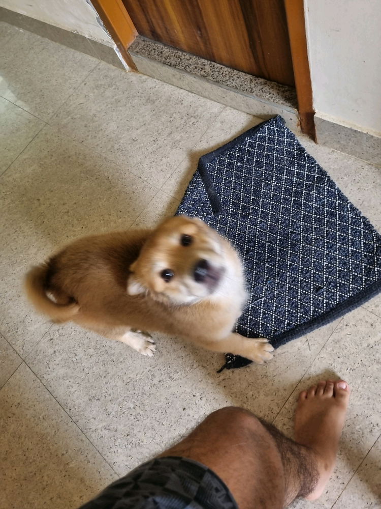 Why is he always hungry?