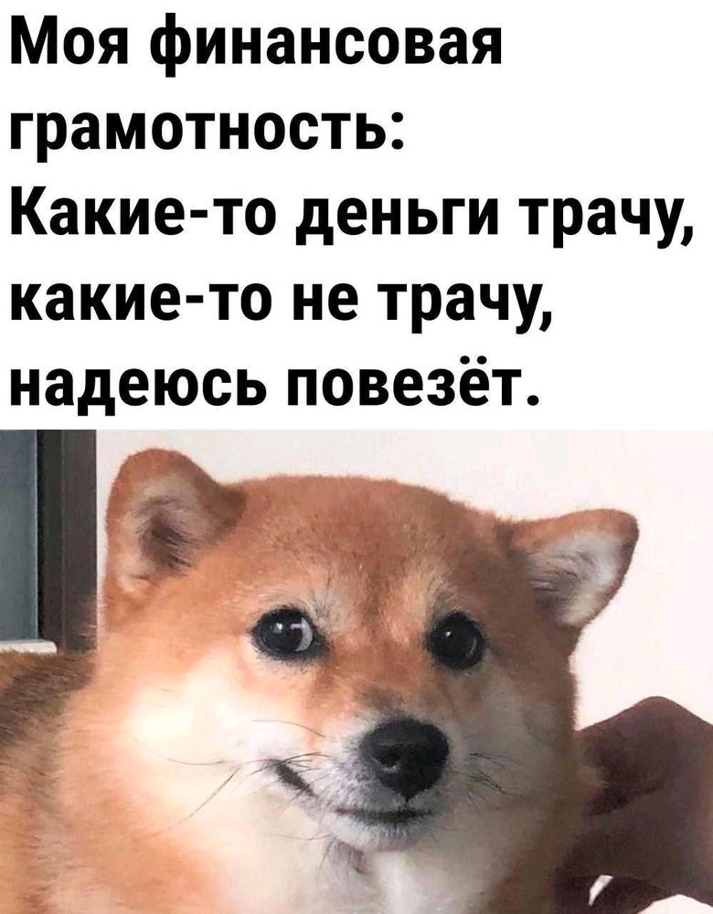 Мы или не мы? 😆🙈😎