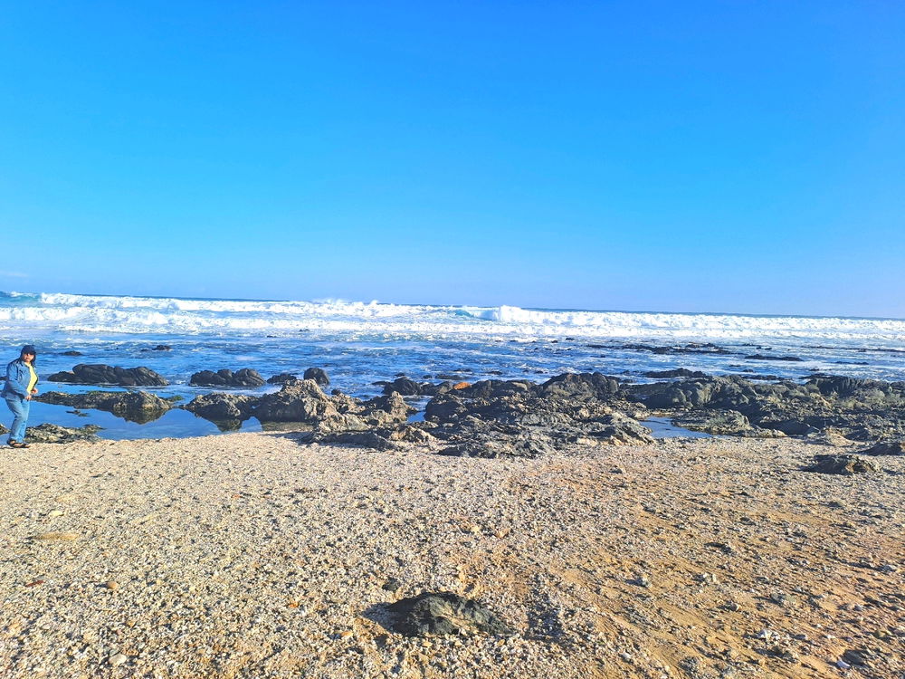 The ocean roars 🌊
