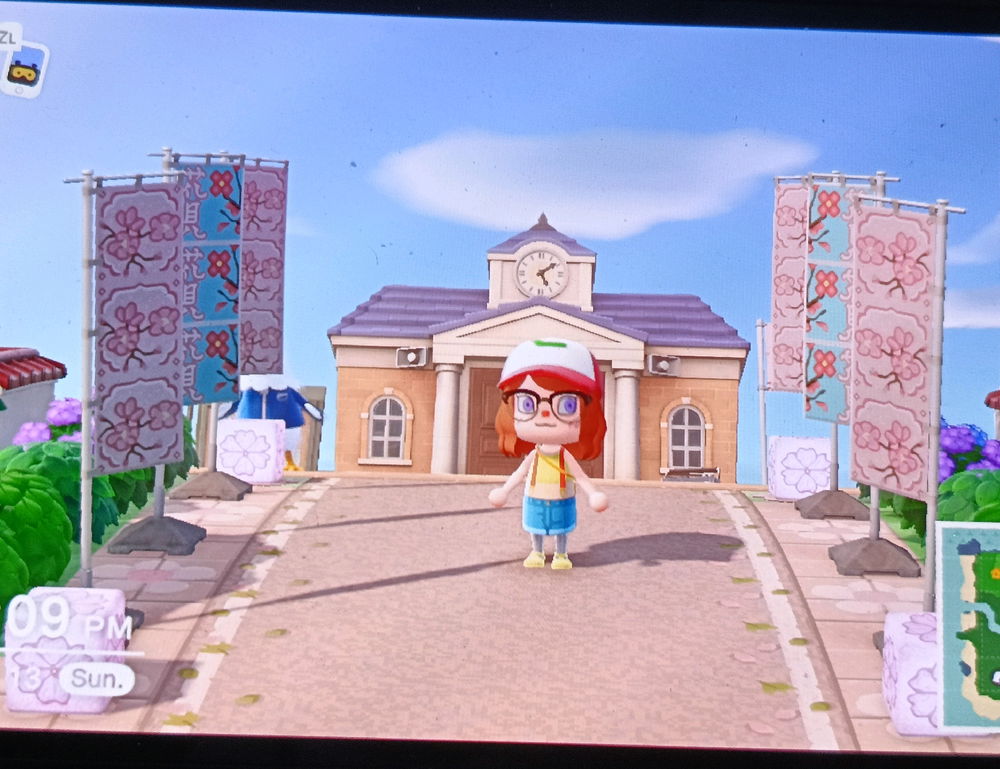 Animal Crossing