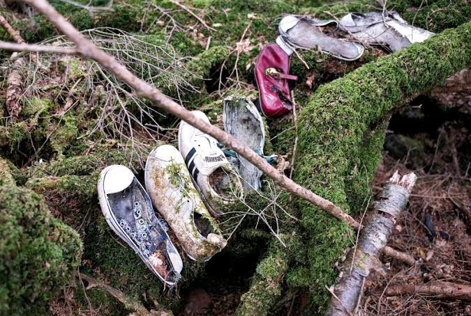Aokigahara