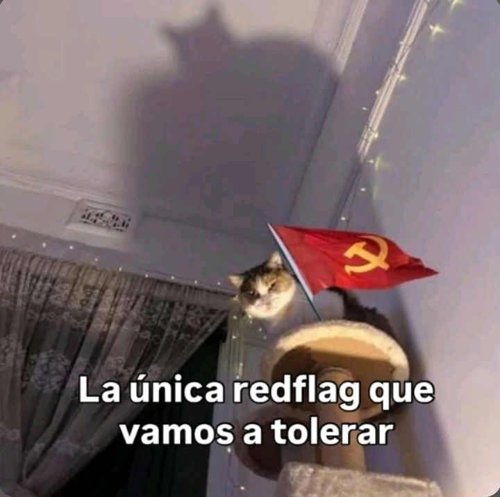 Yo entrando a la app de citas