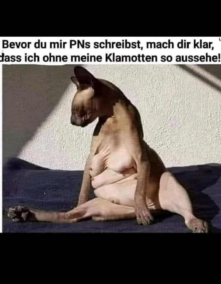 Realismus