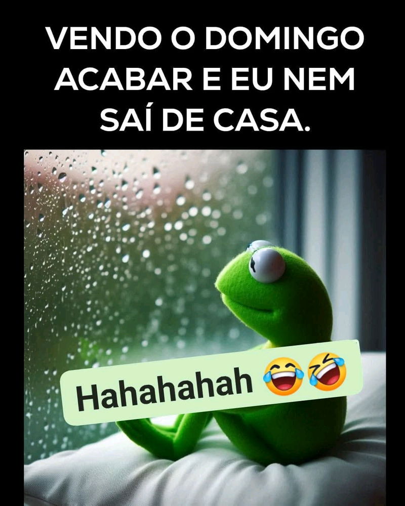 Dura realidade 🤪
