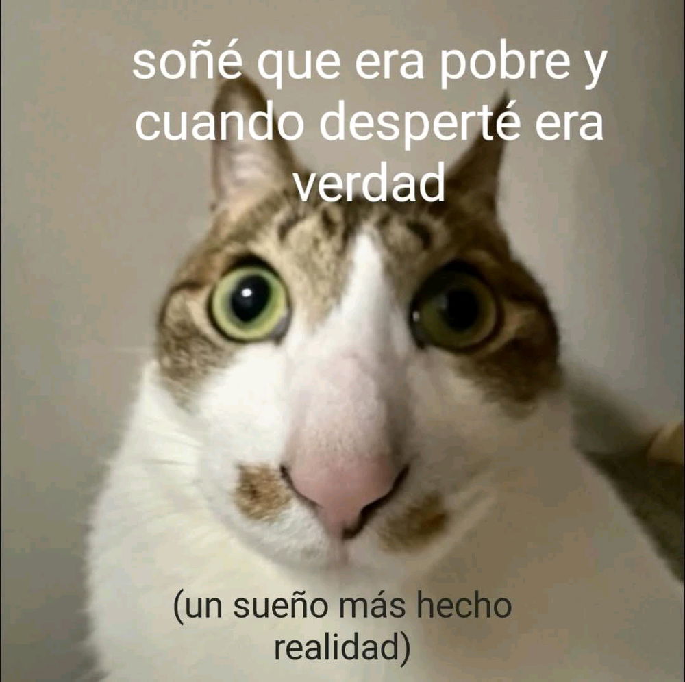 Ya 24 años recién cumplidos