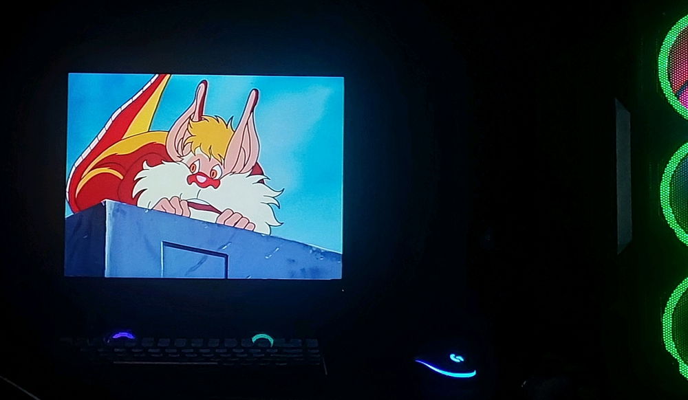 Esse gato me irrita