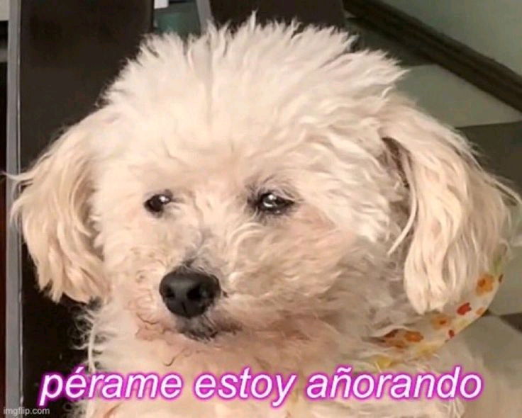 Julio de nostalgia 🫠
