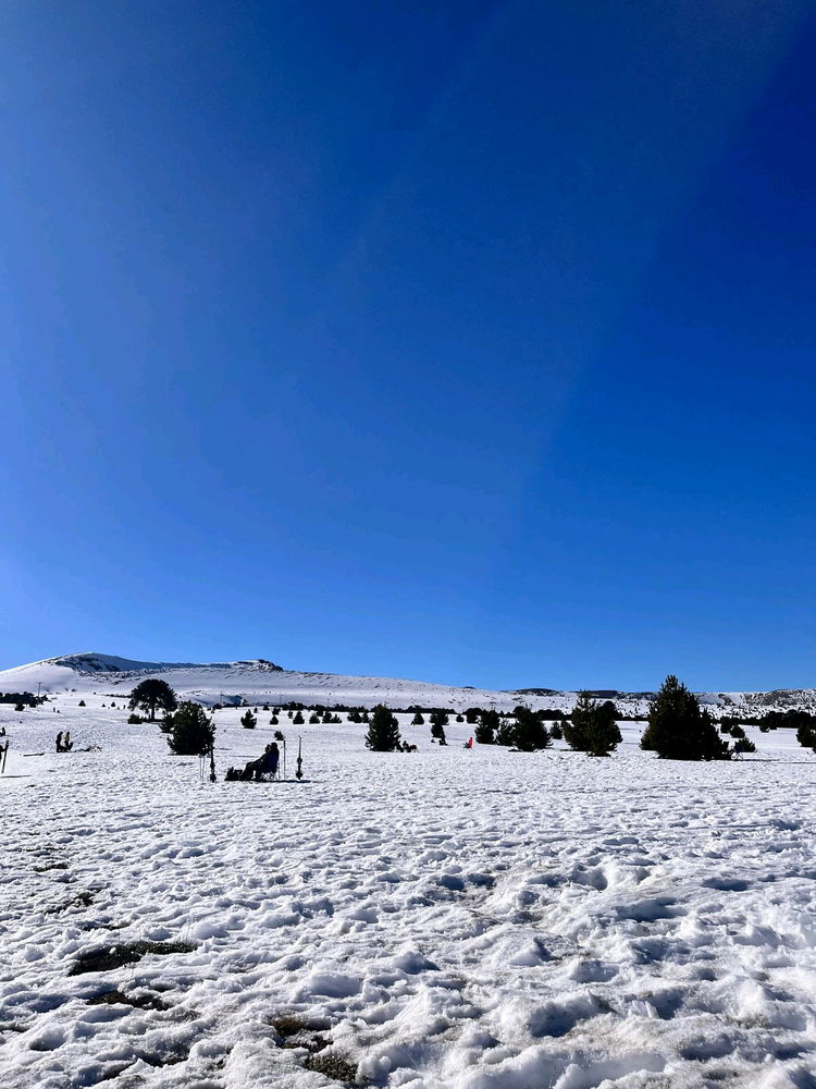 ❄️