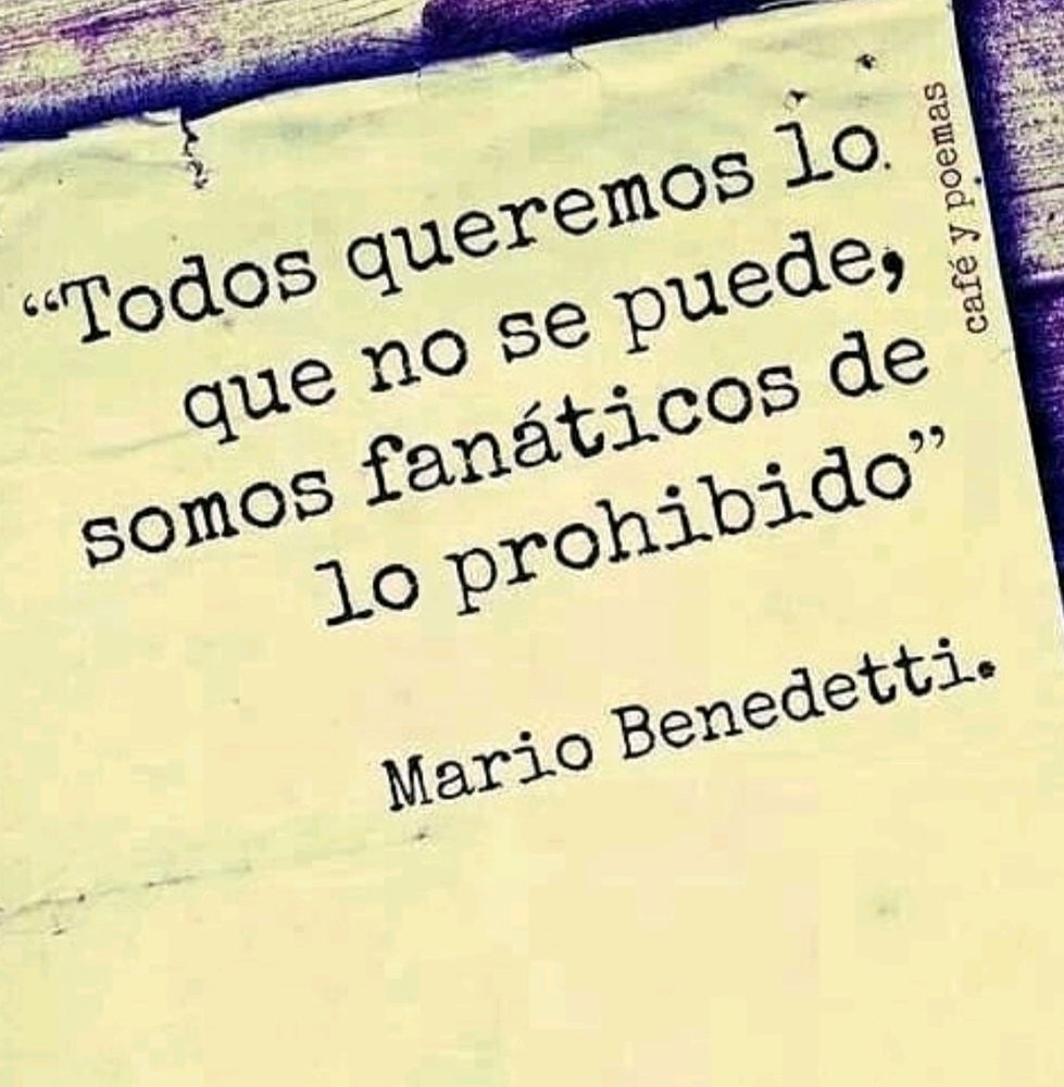 Que opinan?