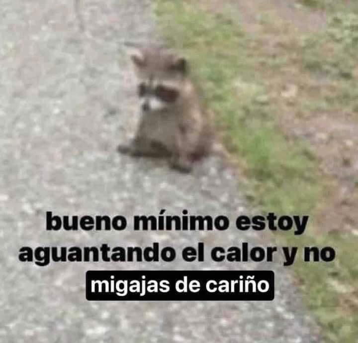 Yo la menos migajera