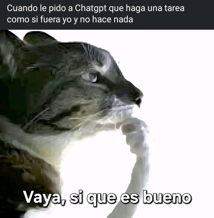 xdd