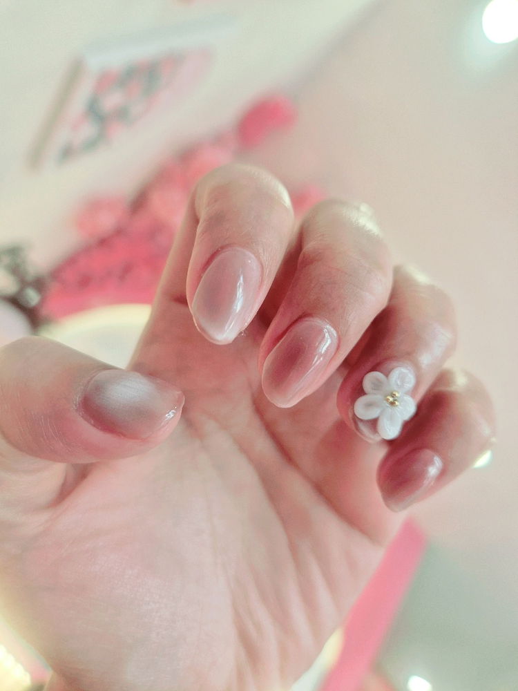 🌸🌸🌸