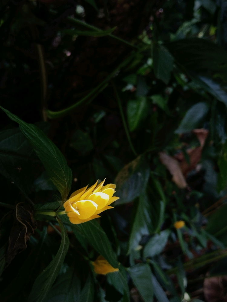 Photography