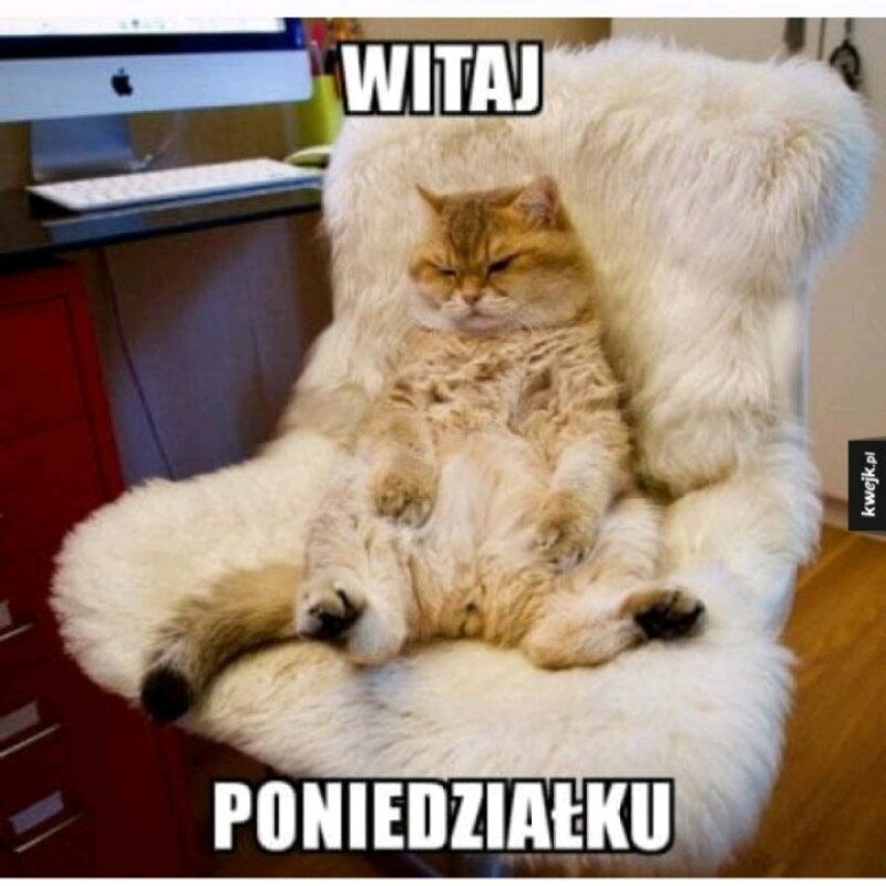 Witaj... 😒