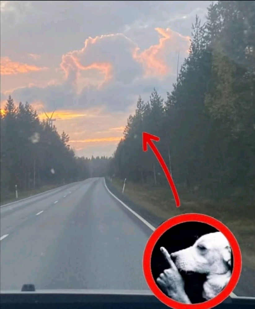 Hasta el cielo le sabe