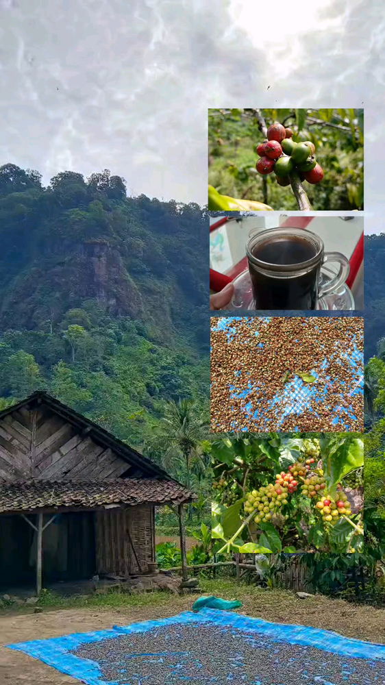 -coffee talk: where dreams percolate