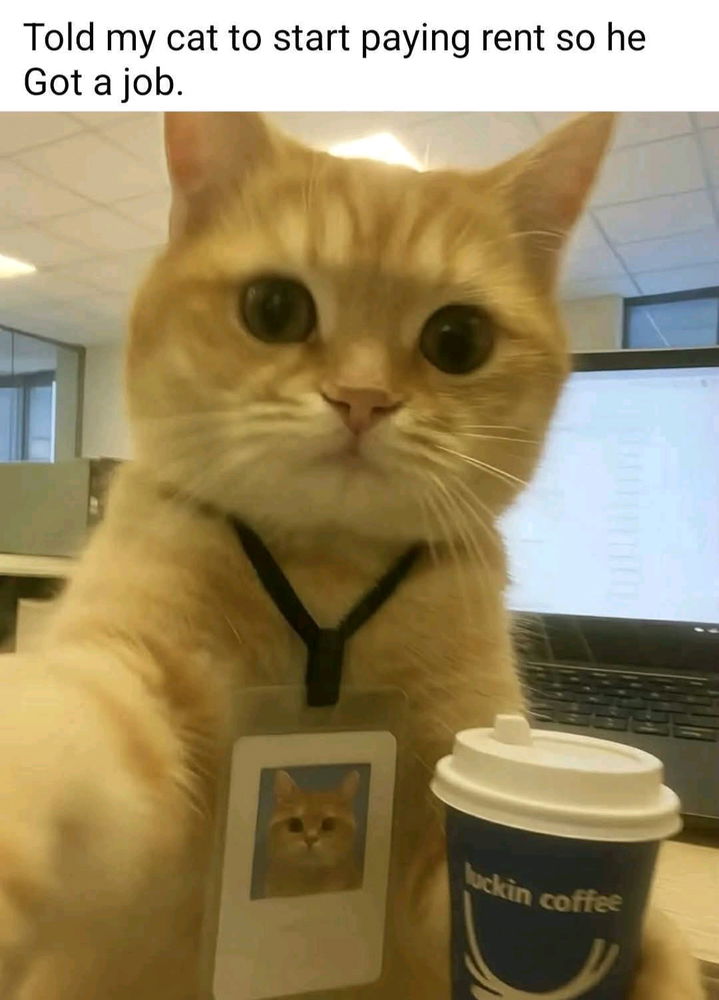 🥰😻
