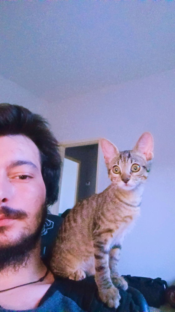 👋