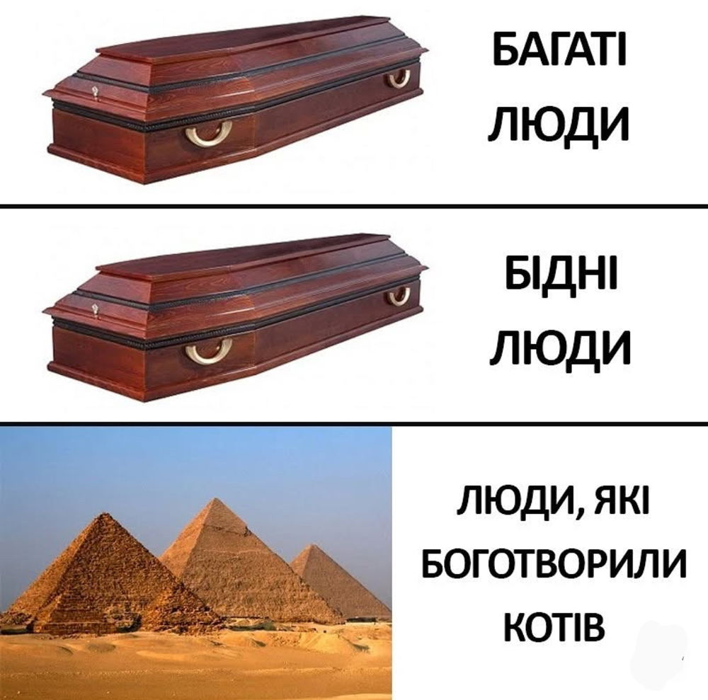 😼