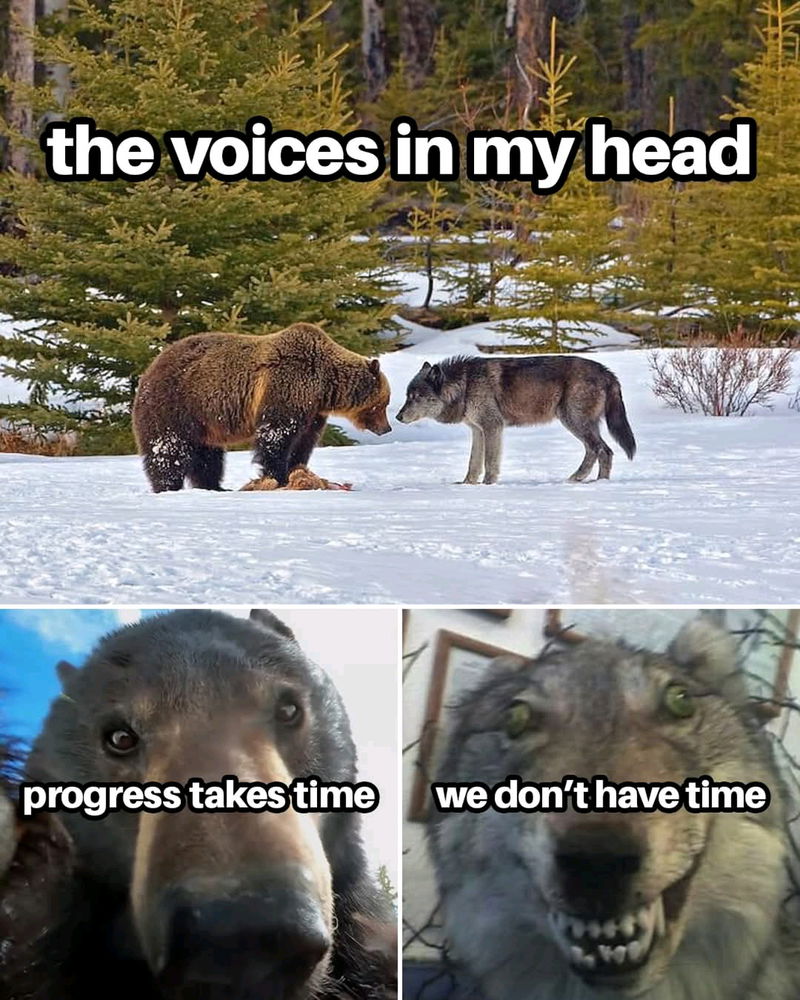 ⏱️